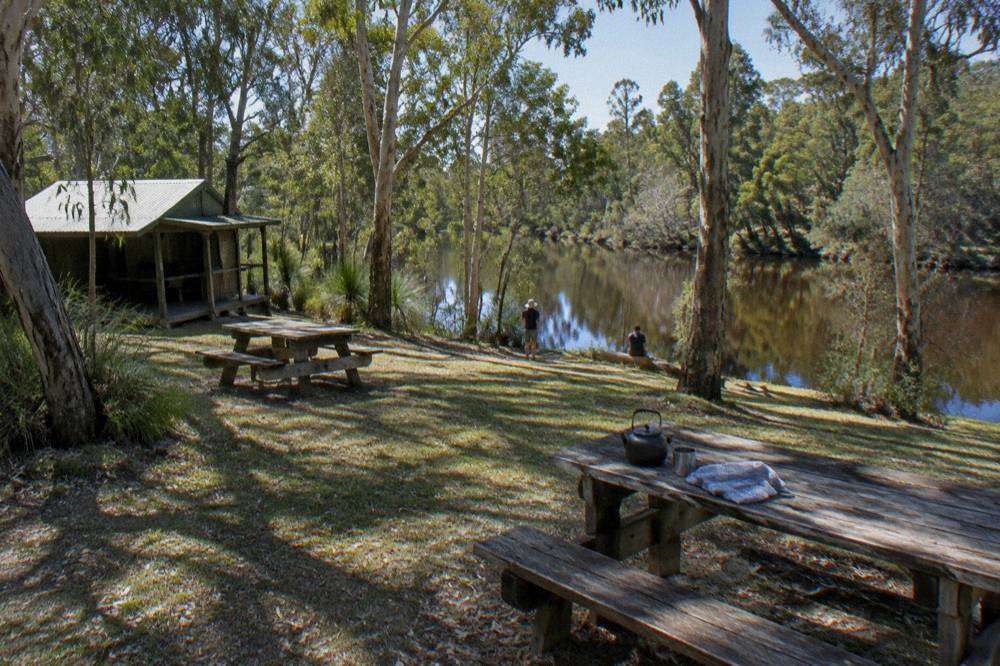 Grassy riverside camping area with picnic tables under tall trees beside a still river