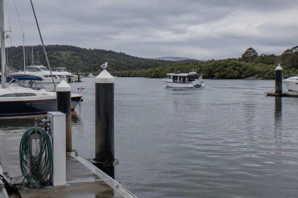A small cruise boat resting on a dark tannin river beside dense paperbark forest