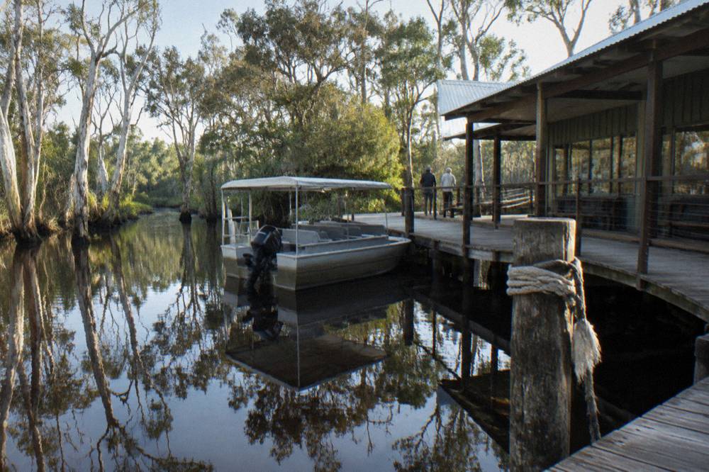 Cruise boat moored at a timber jetty beside a boardwalk, tannin-dark water reflecting trees