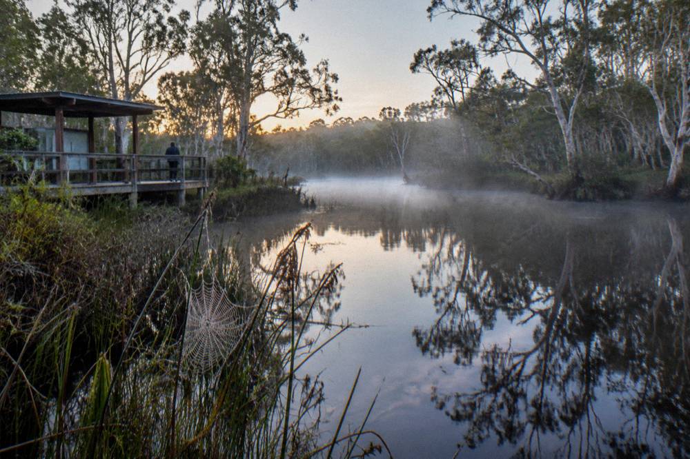 Early morning mist over a calm tannin river with paperbark trees reflected in still water