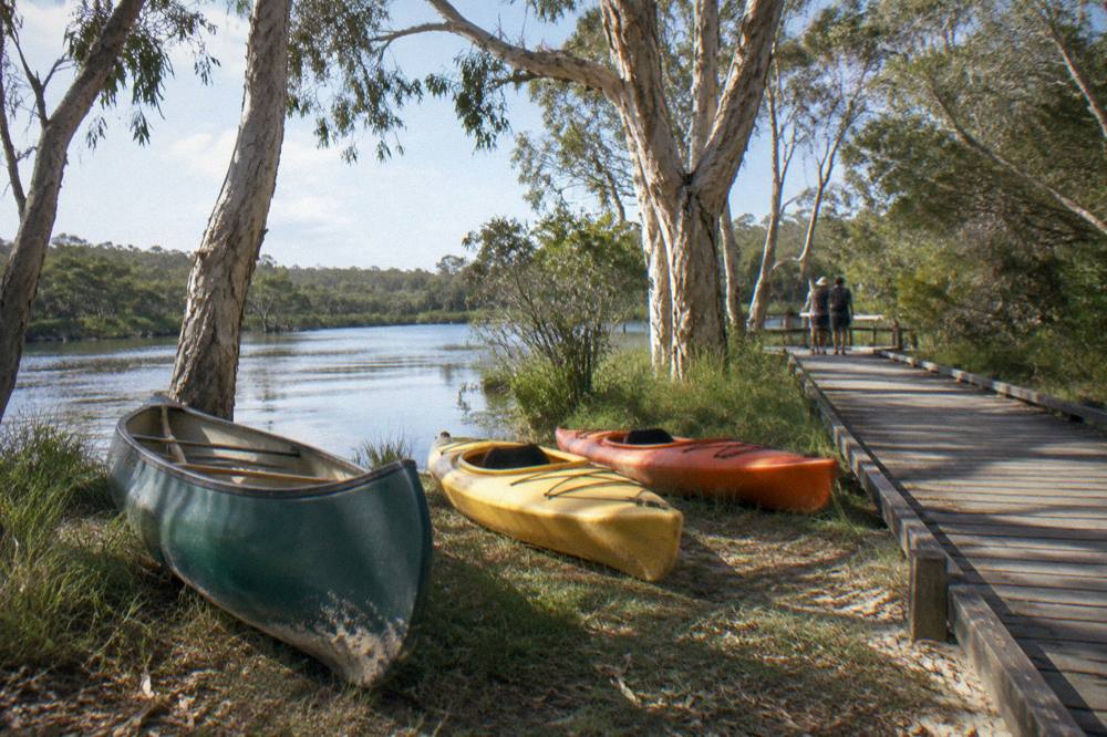 Canoe and kayaks pulled up on a grassy bank beside a river boardwalk under tall paperbark trees
