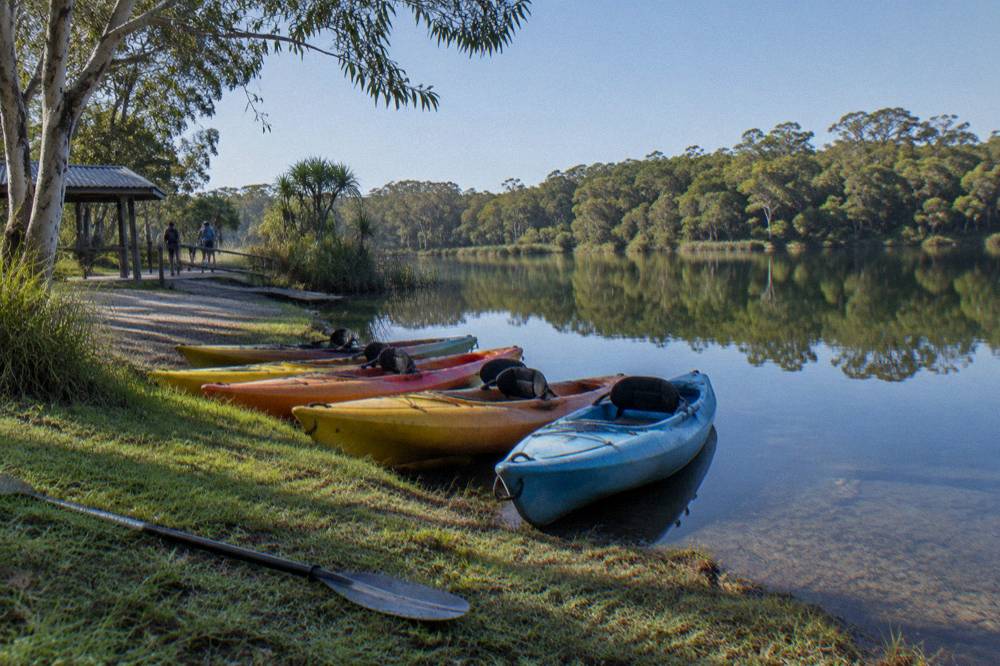 Kayaks resting on a grassy launch area beside a calm lake with forest on the far shore