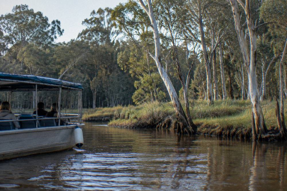 A small passenger boat cruising slowly along a narrow tree-lined tannin river