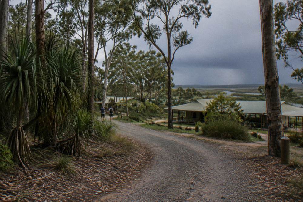 A quiet country road winding through green Sunshine Coast hinterland hills