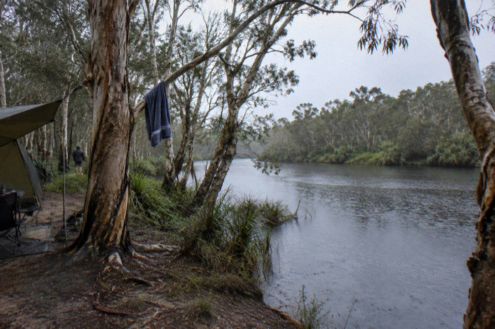 Paperbark forest edge under grey sky with dark river water below