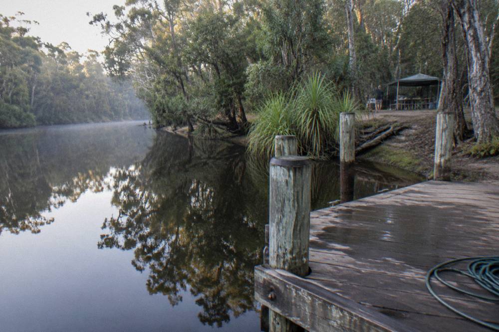 Wooden jetty on dark calm water with forest reflected in the surface