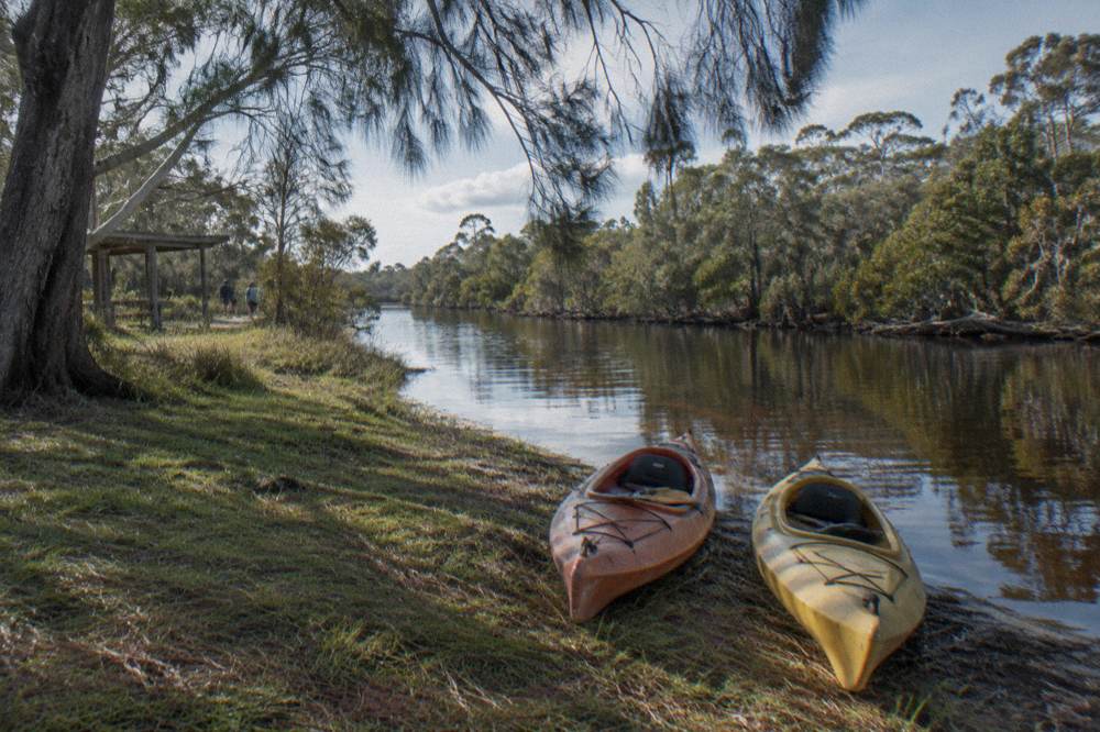 Kayaks pulled up on a grassy bank beside a narrow tannin river