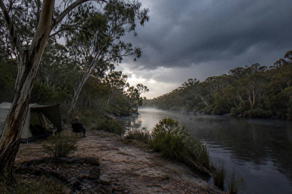 Morning mist over a dark river with tall trees on both banks