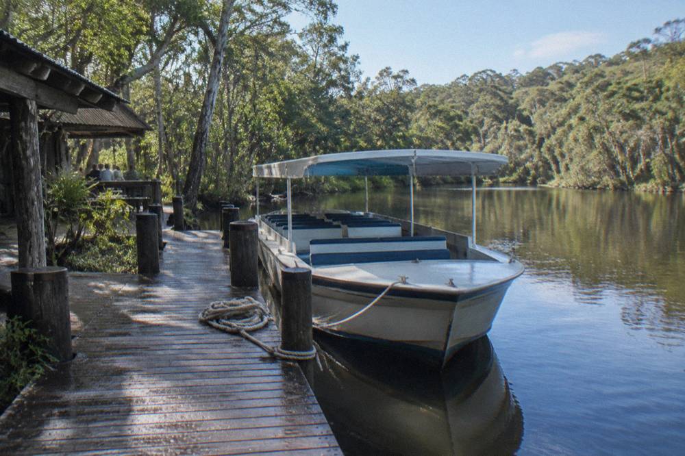 A cruise boat moored at a timber jetty on the upper Noosa River with forest behind it
