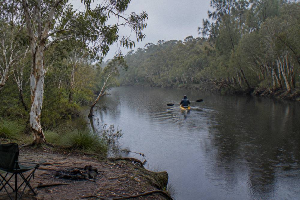a single kayak on dark reflective water between paperbark trees