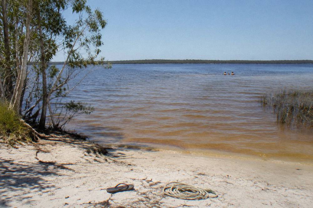 Wide calm lake with forest shoreline in the distance at Lake Cootharaba