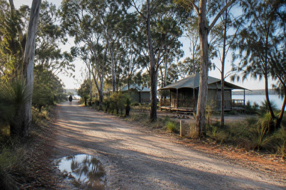 Quiet country road running through eucalypt forest toward Lake Flat Road