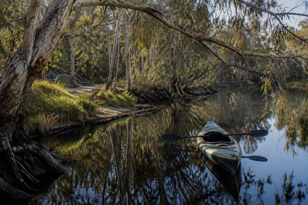 A kayak drifting on glassy dark water beneath overhanging trees on the upper Noosa River