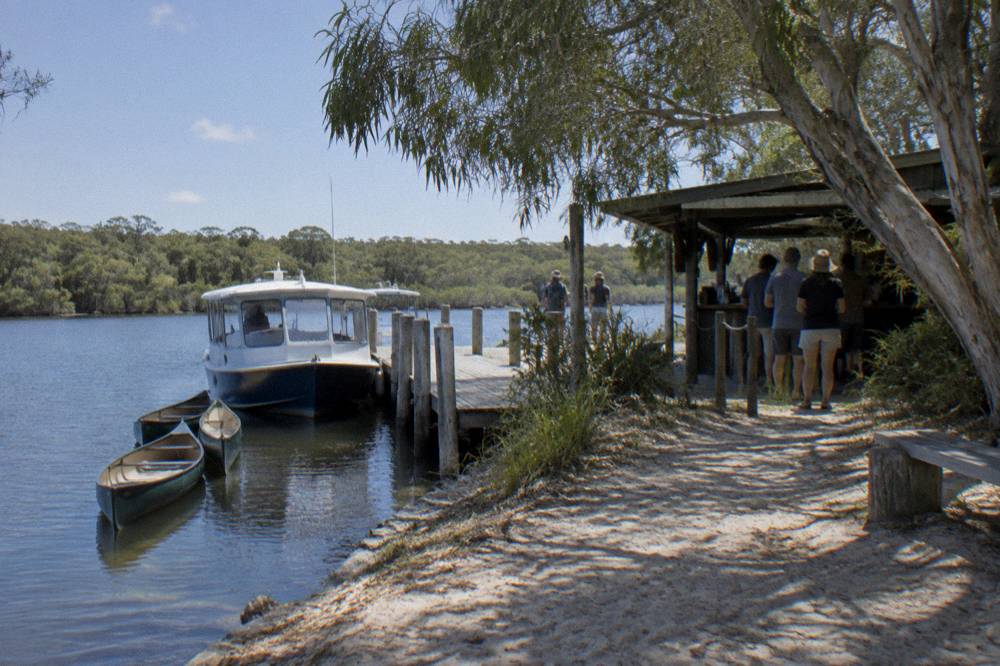 A small cruise boat and canoes together at a riverside jetty in a paperbark forest