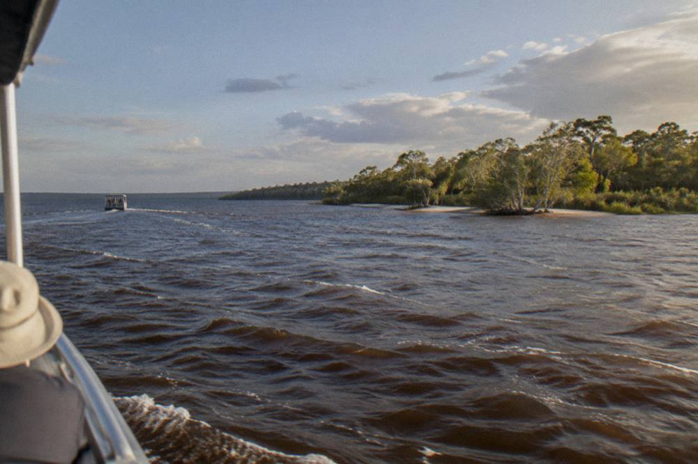 Wide view of a dark tannin river between forested banks under a softening sky