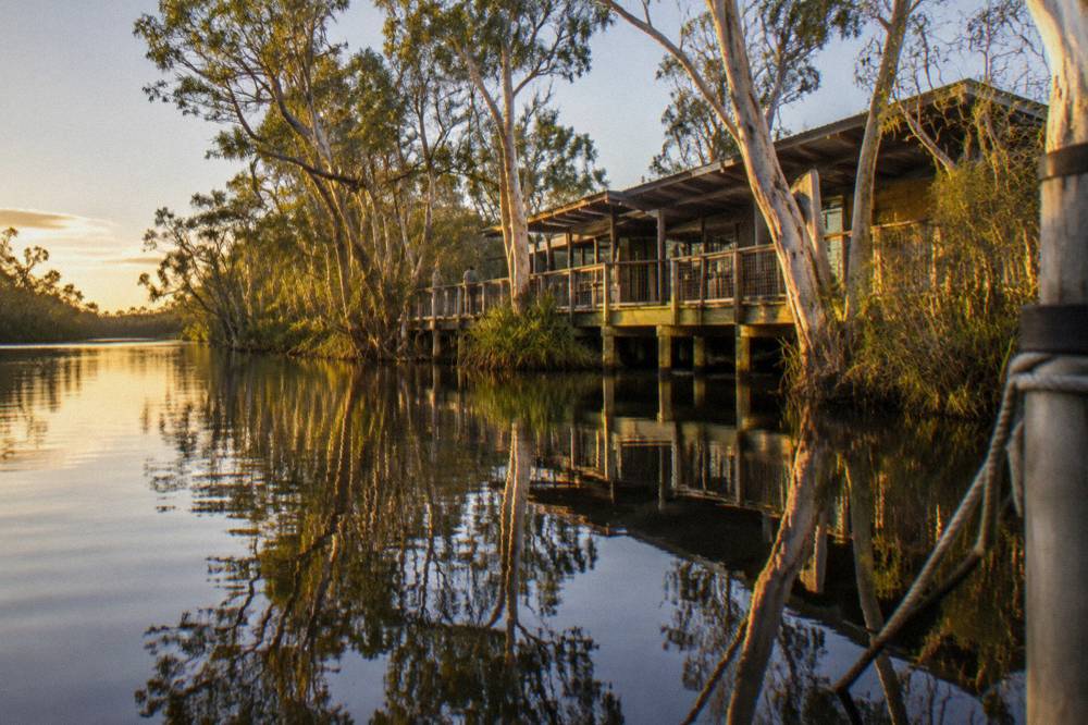 Still dark water reflecting a paperbark forested riverbank in warm light