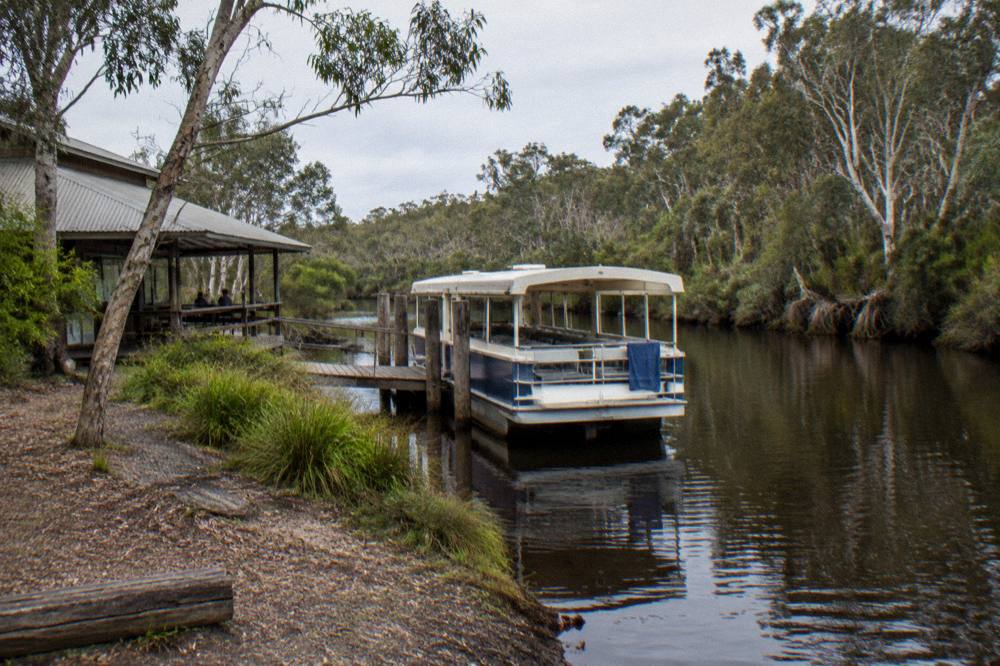 Small cruise boat moored on a dark river beside a forested bank