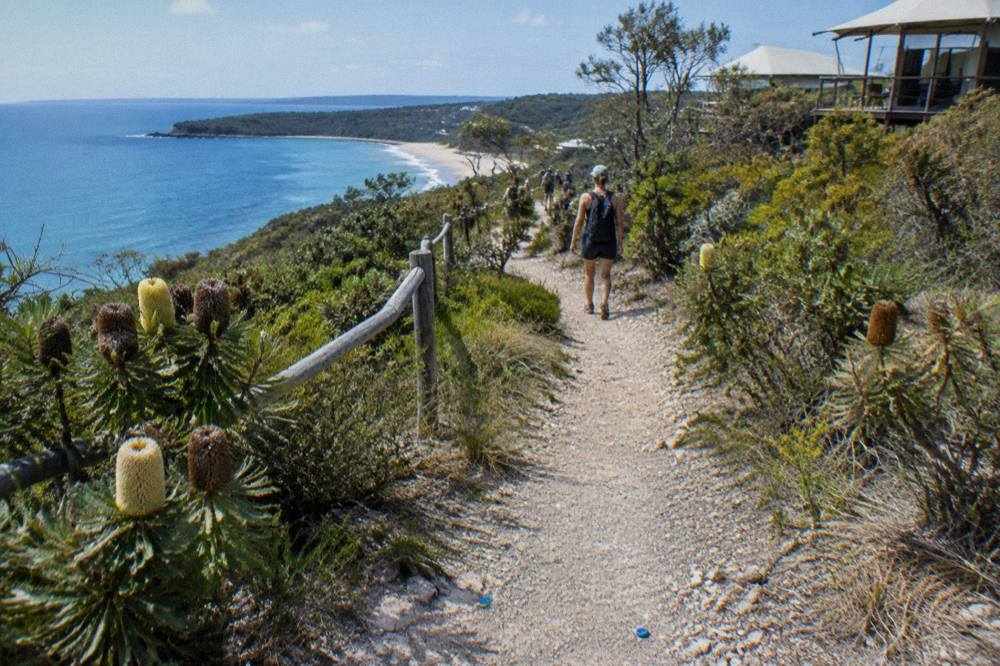 A coastal walking track curving along a green headland above blue ocean