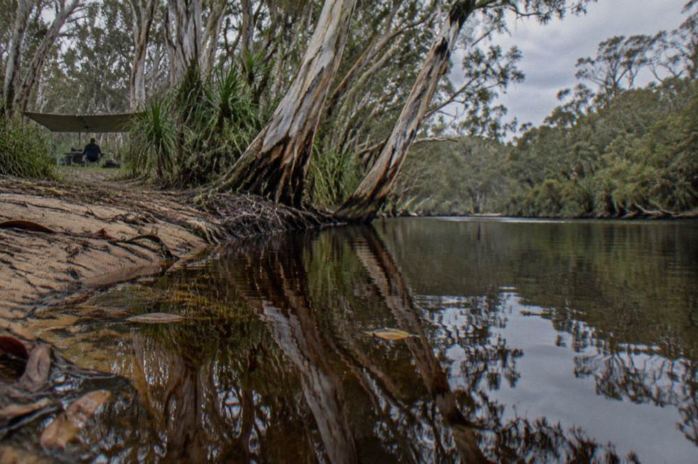 Still tannin-dark river water reflecting paperbark trees along the bank