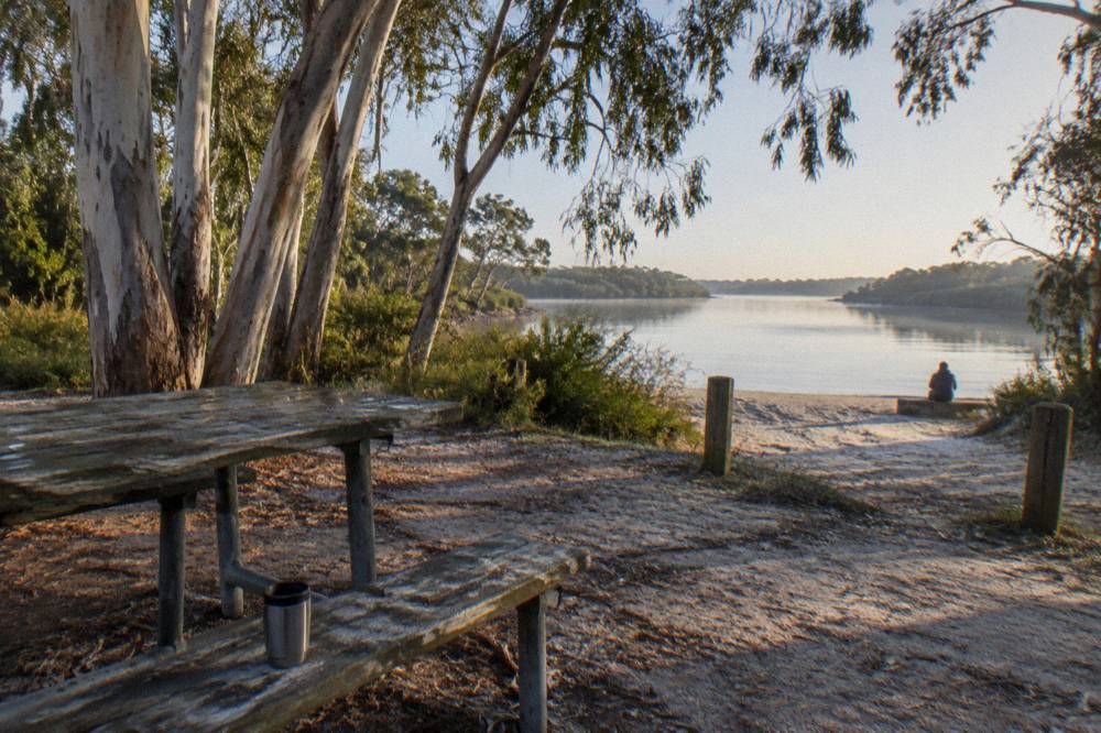 A picnic table under trees beside a calm lake shoreline