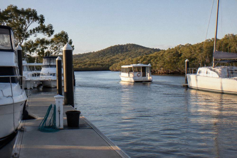A small cruise boat moving slowly along a narrow tannin river between forested banks