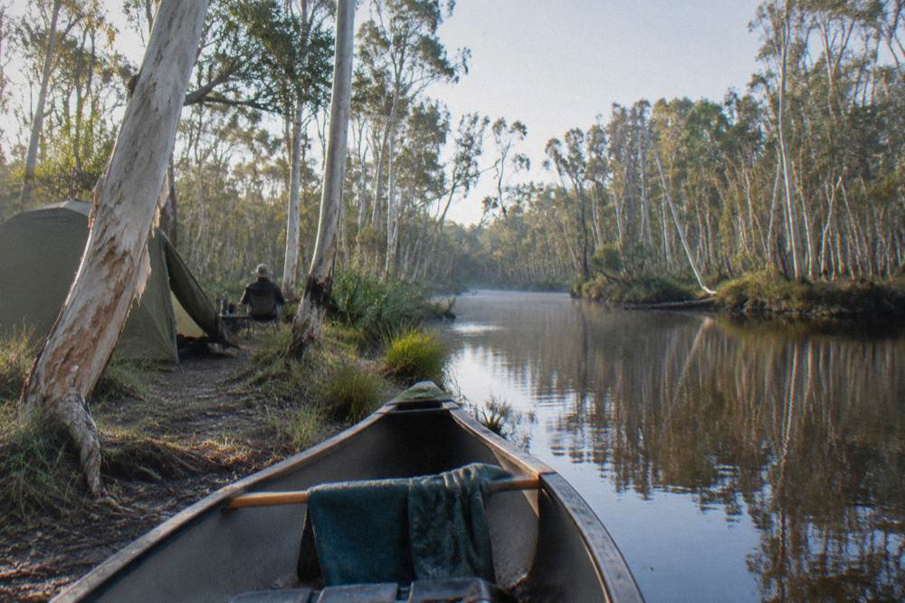 Tall paperbark trees lining a narrow calm river under a bright summer sky