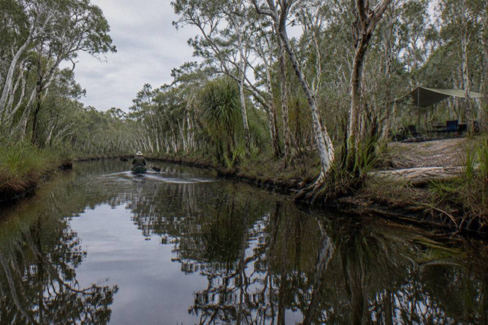 Quiet tannin river channel with reflections of paperbark forest on still water