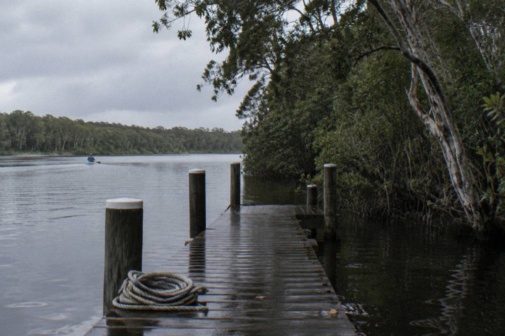 Timber jetty on dark river water beside dense riverside forest